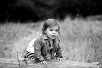 Morrison021bw