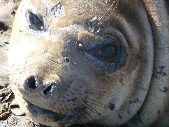 P1000059