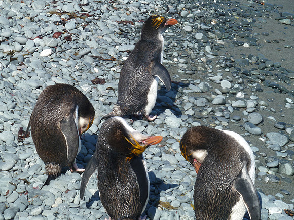 P1000056