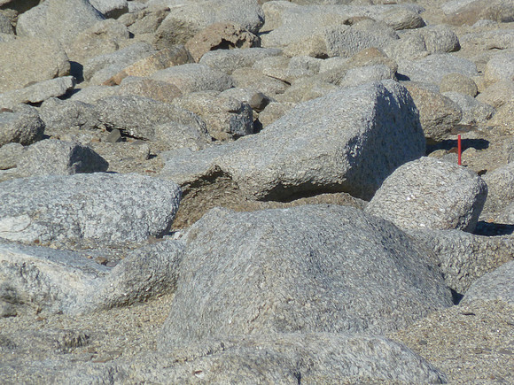 P1000201