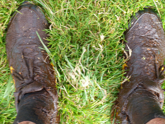 P1000504