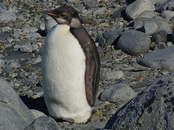 P1000188