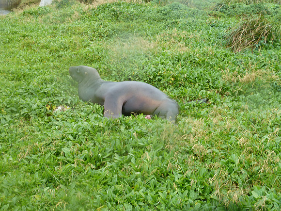 P1000039