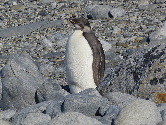 P1000186