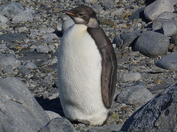 P1000187