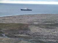 P1000447