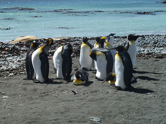 P1000091
