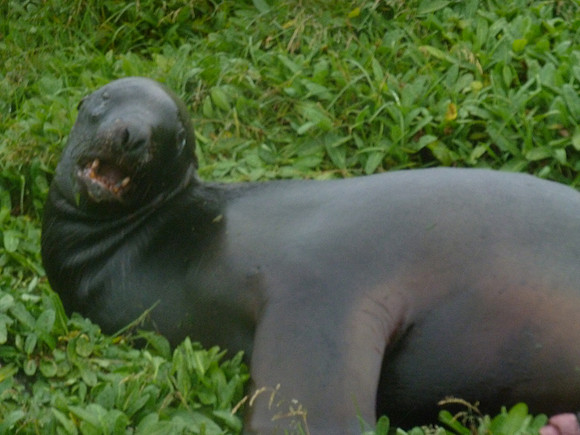 P1000038