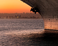 _BSX7146_9