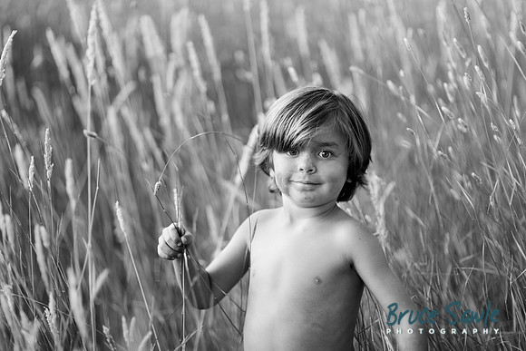 _BS84407_1700bw_115