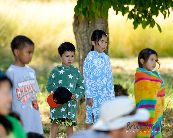 _BS84213_1575_81