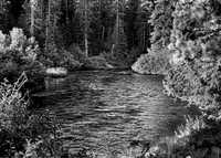 _BS87319_3971_6
