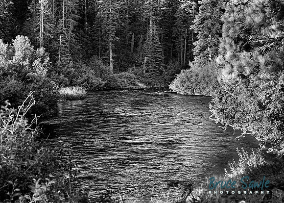 _BS87319_3971_6