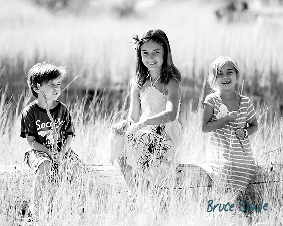 _BS87781_4289_17