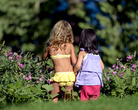 _BS87195_3914_38