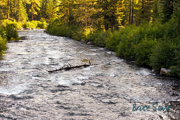 _BS87347_3993_1