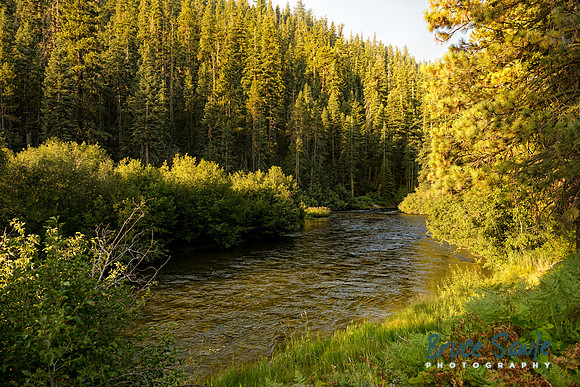 _BS87325_3977_4