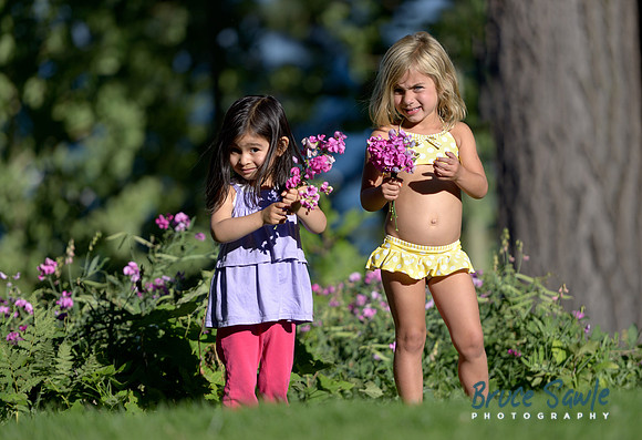 _BS87204_3920_41
