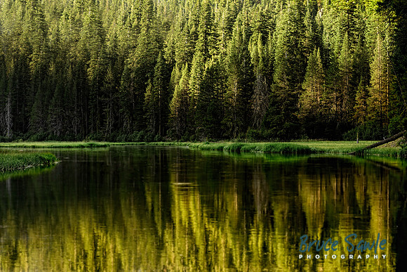 _BS87376_4015_4