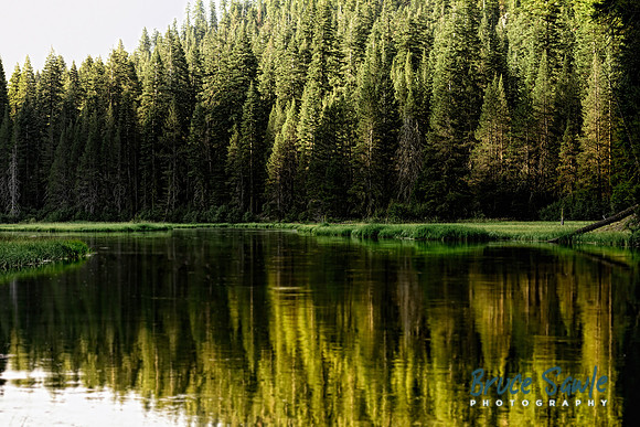 _BS87376_4015_4