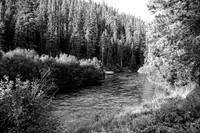_BS87325_3977bw_5