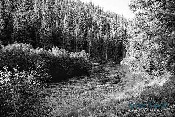 _BS87325_3977bw_5