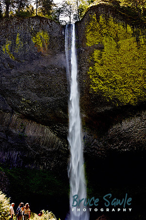 Oregon_127