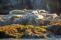 Oregon_012