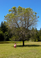 Oregon_005