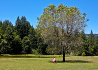 Oregon_003