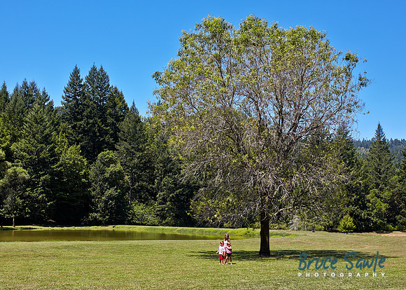 Oregon_003
