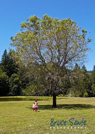 Oregon_004