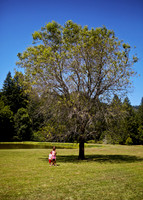 Oregon_006