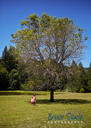 Oregon_006