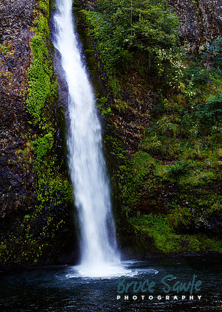 Oregon_144