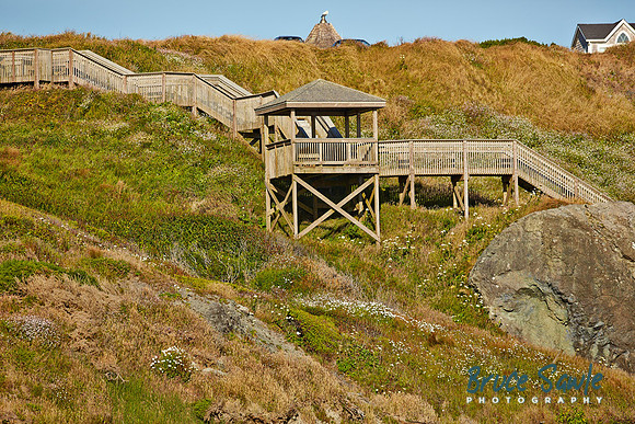 Oregon_015