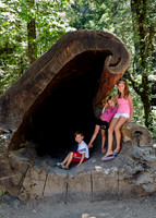 Oregon_001