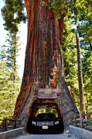 Oregon_009