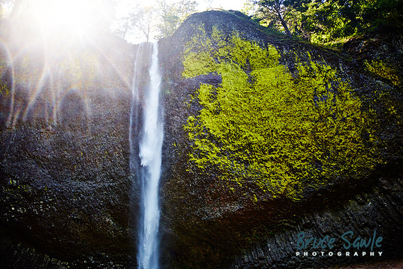 Oregon_135
