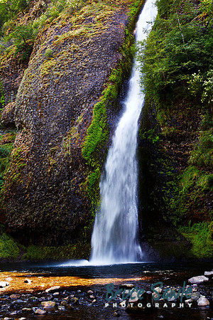 Oregon_151