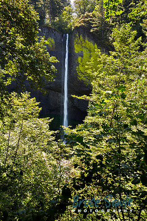Oregon_125