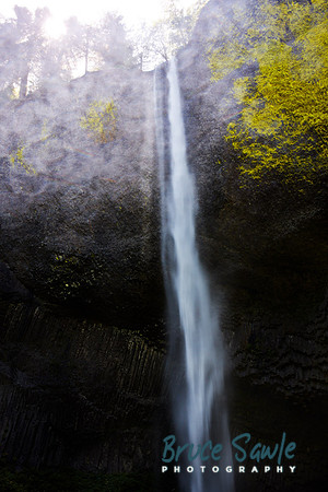Oregon_131