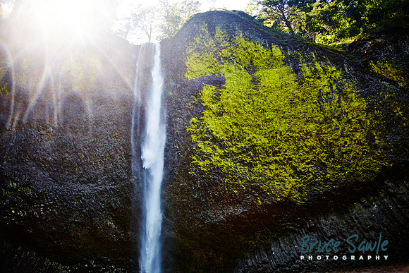 Oregon_135