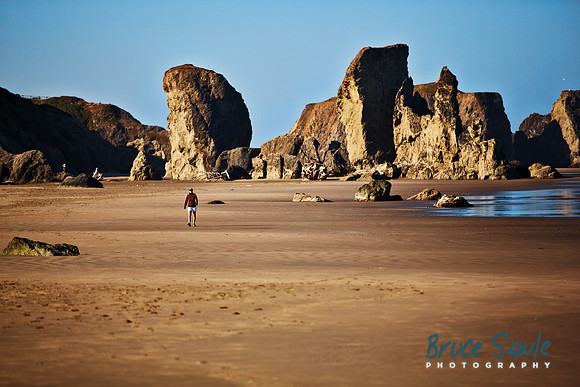 Oregon_100