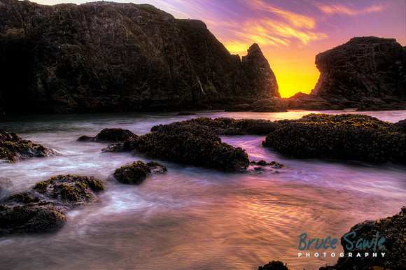 Oregon_041