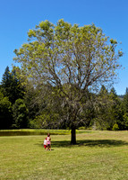 Oregon_004