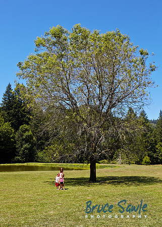 Oregon_004