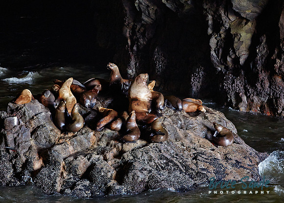 Oregon_118