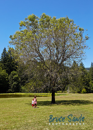 Oregon_005