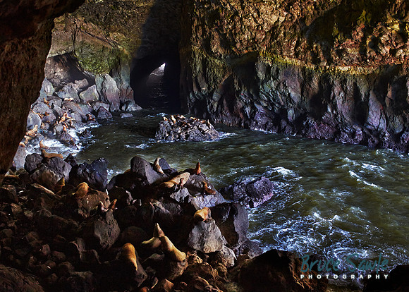 Oregon_109